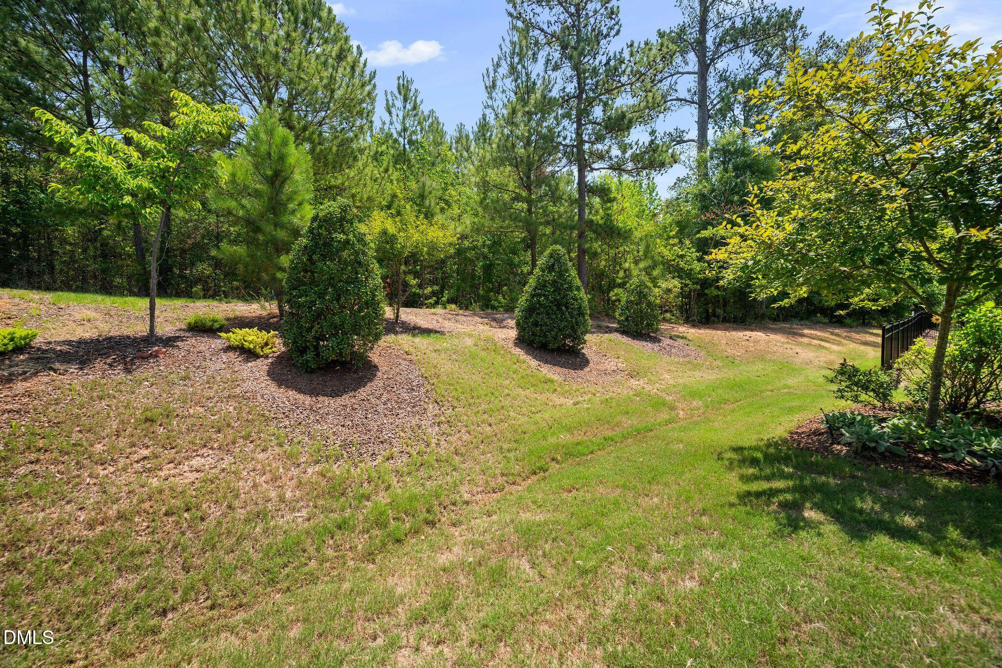 1308 Atticus Way Durham, NC 27560 - Photo 45 of 54 27_DSC_4588