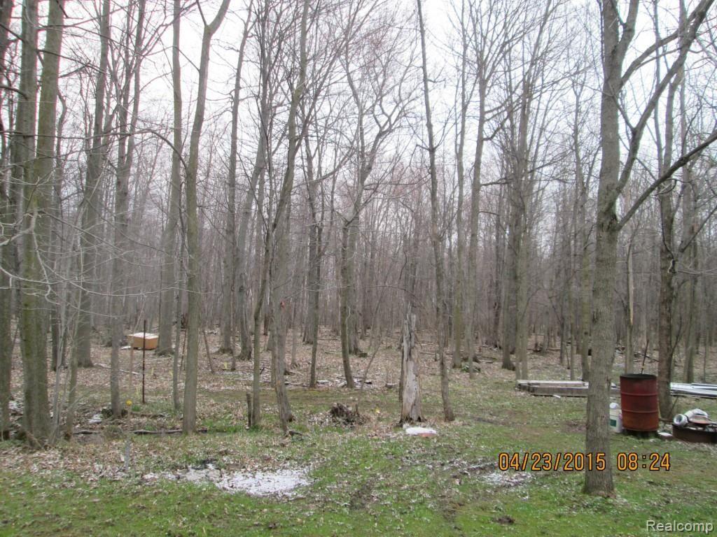 4696 Brown Road Avoca, MI 48006 - Photo 23 of 70 IMG_9825.jpg