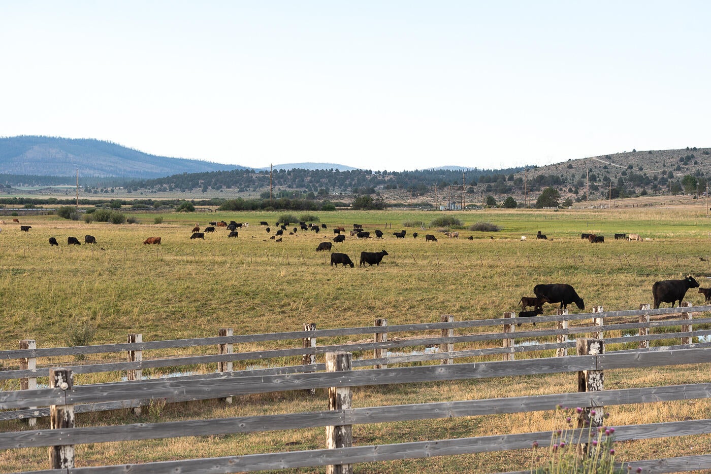 44220 Highway 140 Beatty, OR 97621 - Photo 69 of 101 Hwy 140_Chad-61