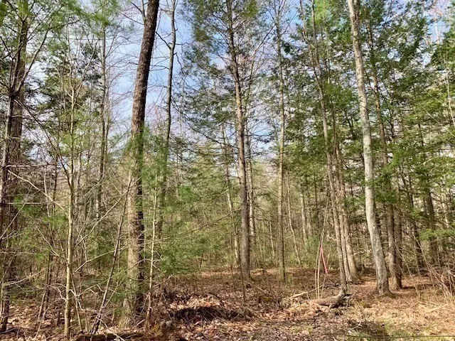 a view of a backyard of the house