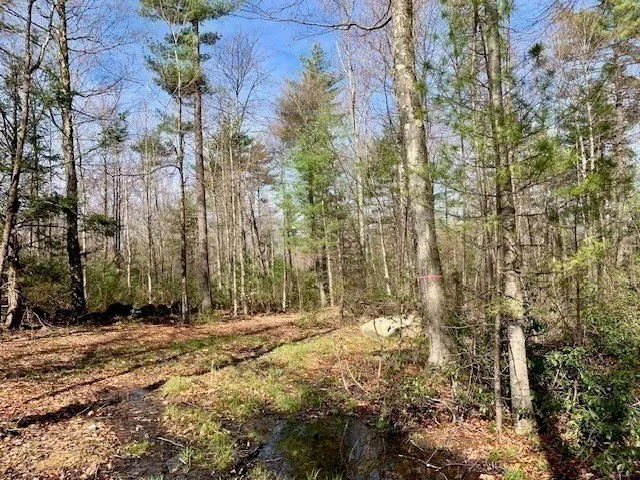 a backyard of a house with lots of plants and trees