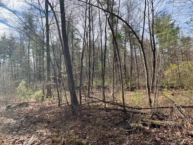 a view of outdoor space and a yard