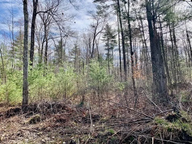 a view of a pathway with a street