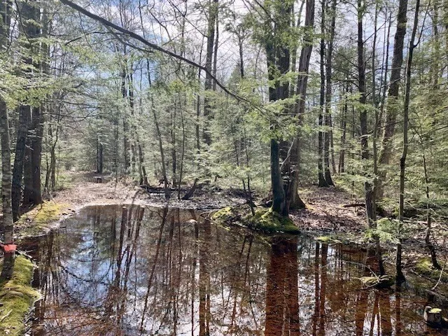 a view of outdoor space with trees