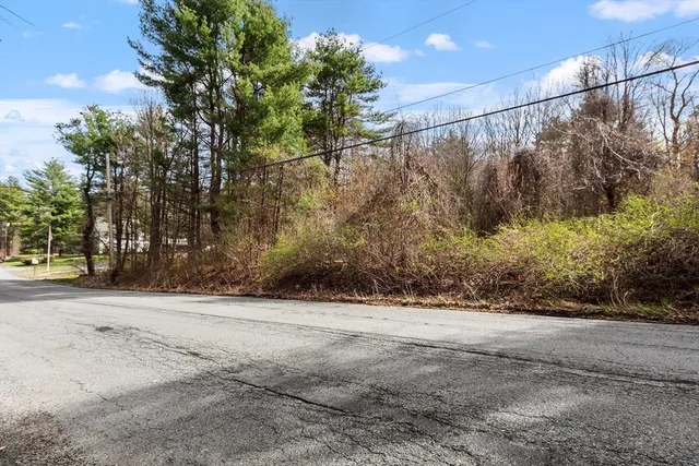 a view of backyard with large trees