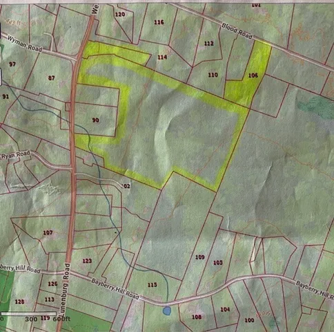 a view of covered with green space