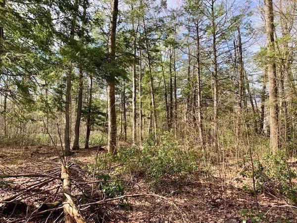 a backyard of a house with lots of tall trees
