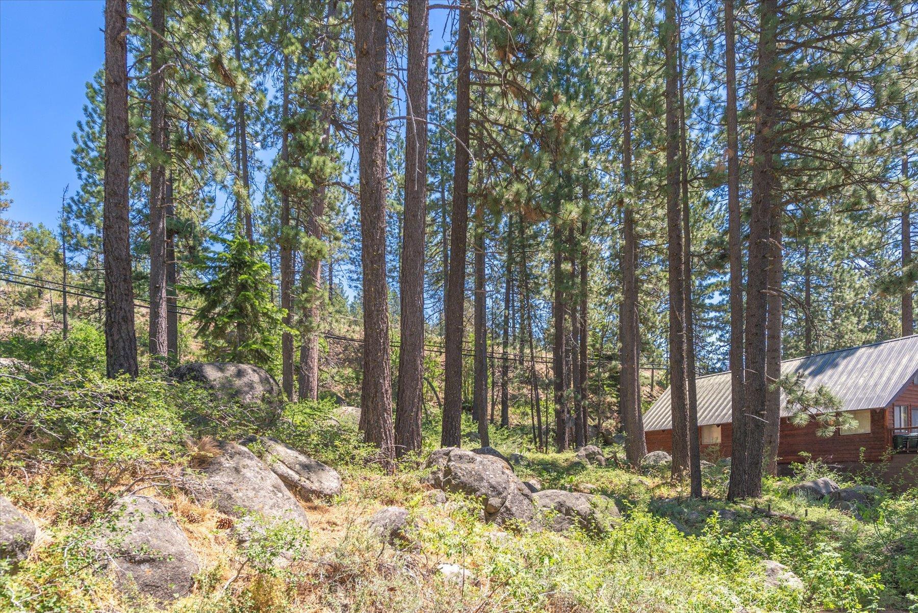 13020 Donner Pass Road Truckee, CA 96161 - Photo 8 of 18