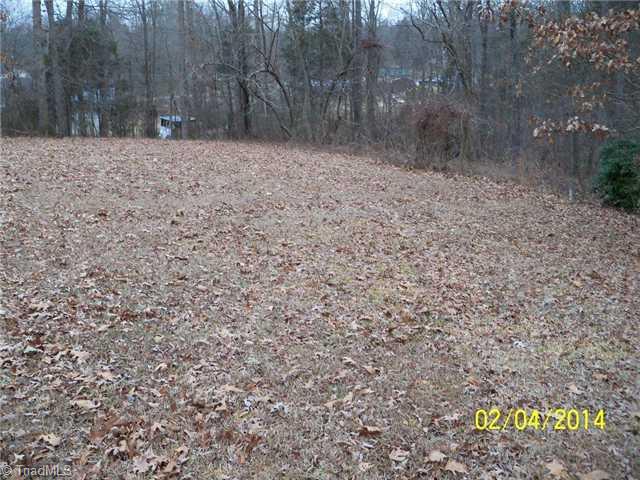 480 Rockett Road Randleman, NC 27317 - Photo 12 of 13 Land/Lot. Large Back Yard