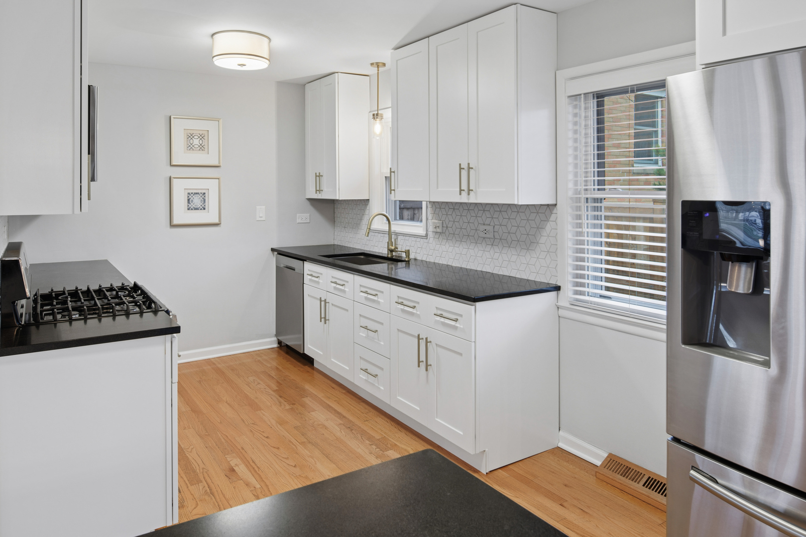 701 Peterson Avenue Park Ridge, IL 60068 - Photo 10 of 23