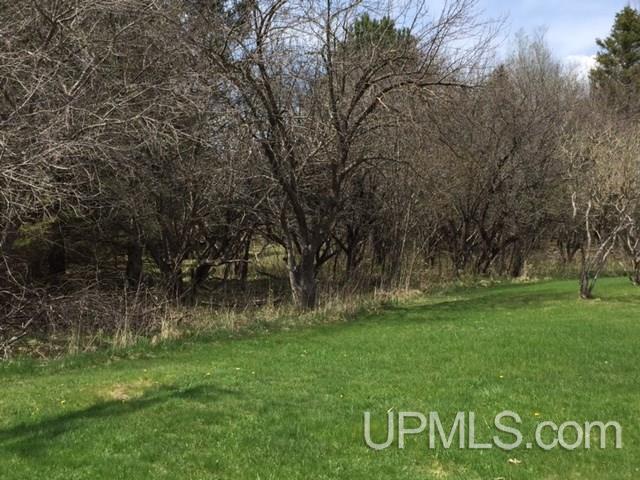 214 Bernhardt Road Iron River, MI 49935 - Photo 29 of 30