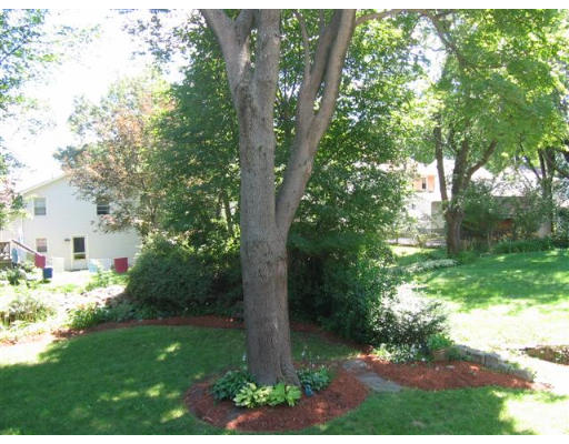 44 Pine Ridge Road Arlington, MA 02476 - Photo 13 of 14