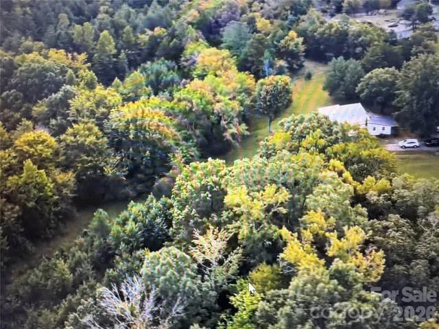 a view of a bunch of flowers