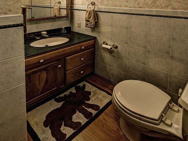 419 Grede Road Three Lakes, WI 54562 - Photo 16 of 20 Gallery Image 16
