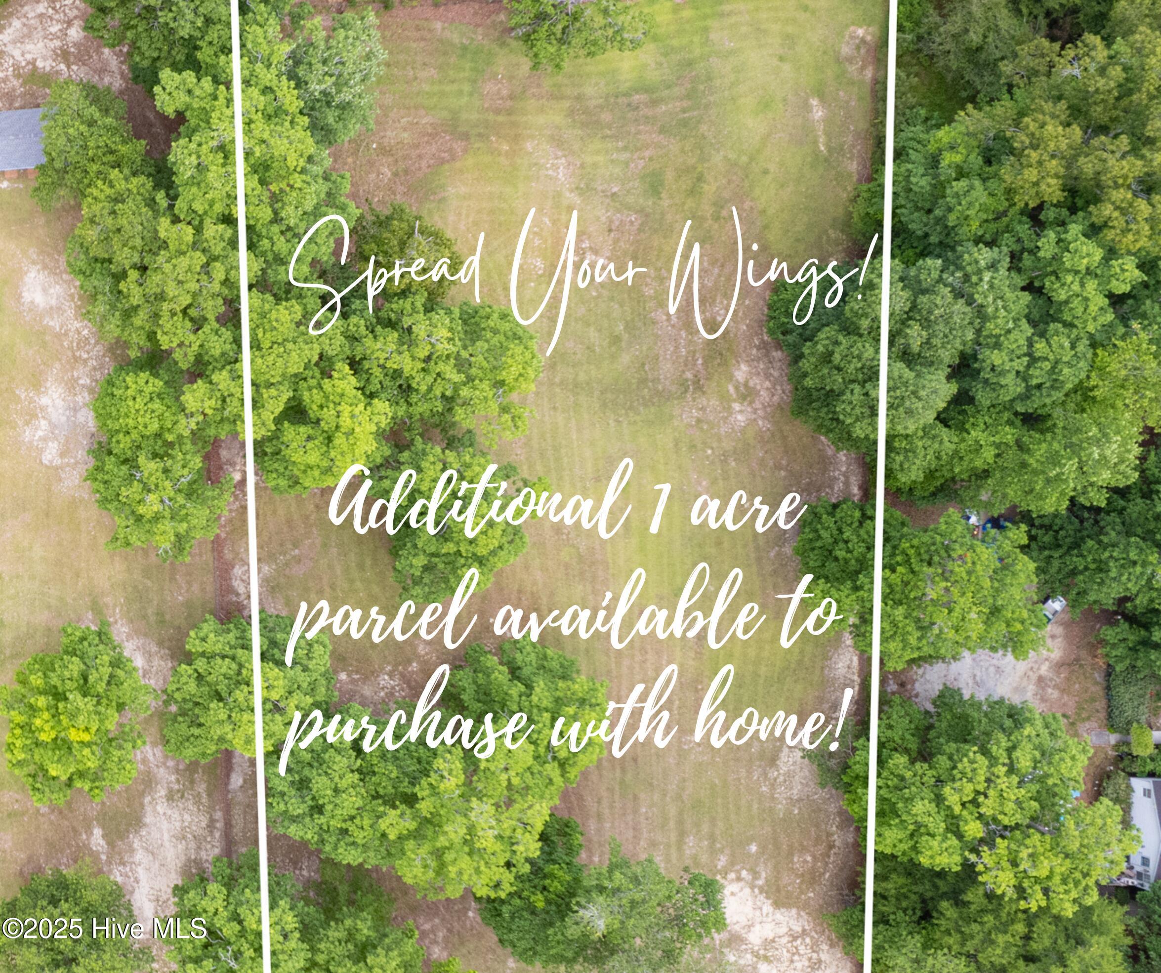 100 Benton Road Southeast Bolivia, NC 28422 - Photo 5 of 55 100 BENTON RD ADDITIONAL PARCEL