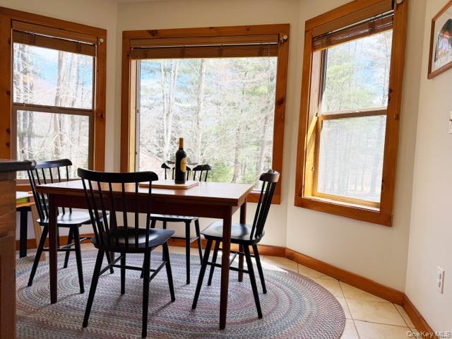 2769 State Rte 55 Bethel, NY 12786 - Photo 11 of 28 wooded views