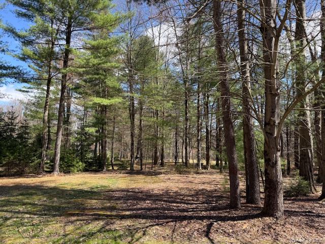 2769 State Rte 55 Bethel, NY 12786 - Photo 21 of 28 wooded yard