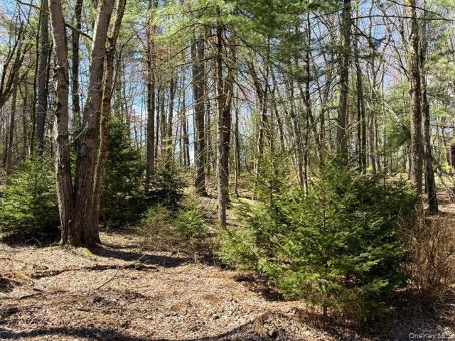 2769 State Rte 55 Bethel, NY 12786 - Photo 23 of 28 looking towards the side extra lot included