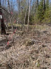 0 Tunk Woods Road Belmont, ME 04952 - Photo 8 of 11 673293822