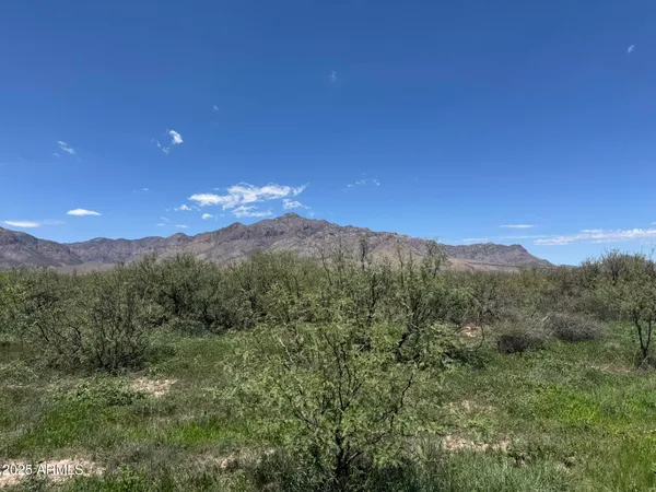 $68,900 | 39.6-acres West Paulo Rosa Drive, Unit 2, San Simon, AZ 85632