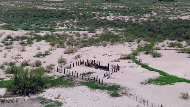 a view of a dry field with trees