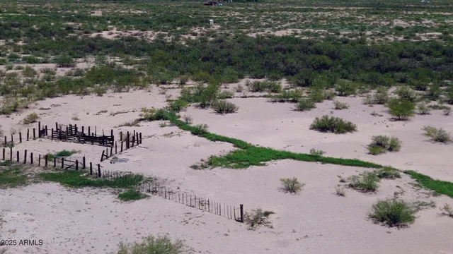 a view of a dry yard with lots of trees