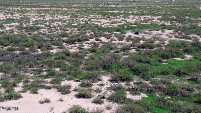 a view of a lush green forest
