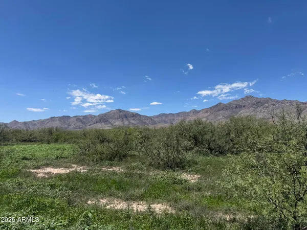 a view of a mountain