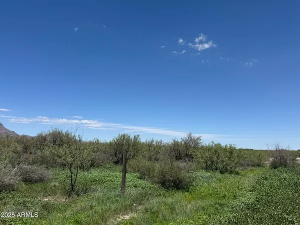 $68,900 | 39.6-acres West Paulo Rosa Drive, Unit 2, San Simon, AZ 85632