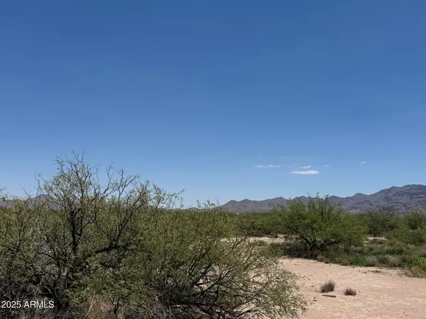 $68,900 | 39.6-acres West Paulo Rosa Drive, Unit 2, San Simon, AZ 85632
