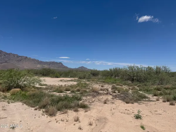 $68,900 | 39.6-acres West Paulo Rosa Drive, Unit 2, San Simon, AZ 85632
