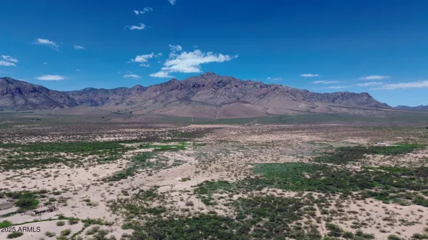 $68,900 | 39.6-acres West Paulo Rosa Drive, Unit 2, San Simon, AZ 85632