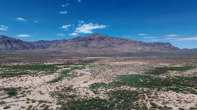 a view of a yard with an outdoor space