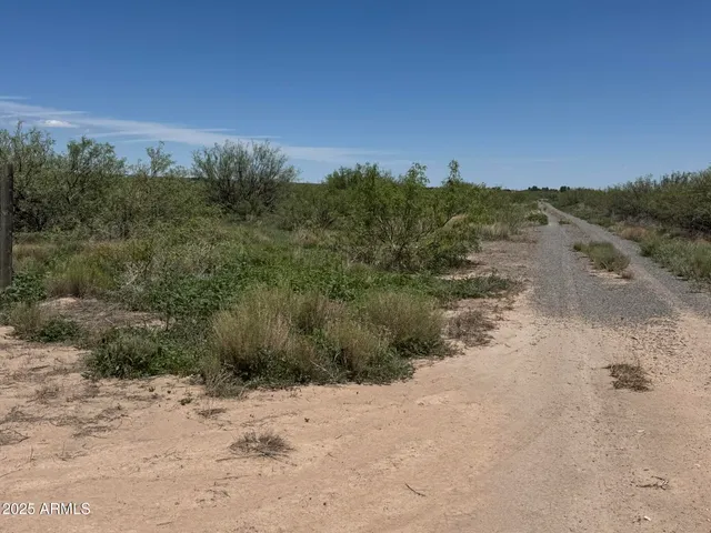 a view of a dry yard with mountains in the background