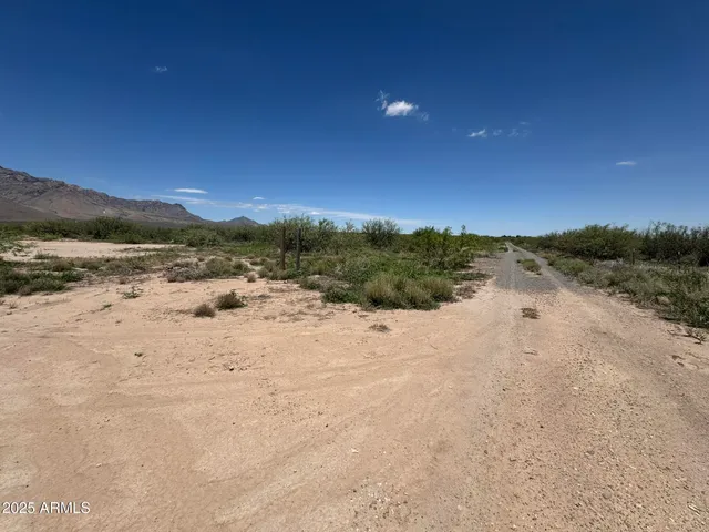 a view of a city with lush green forest