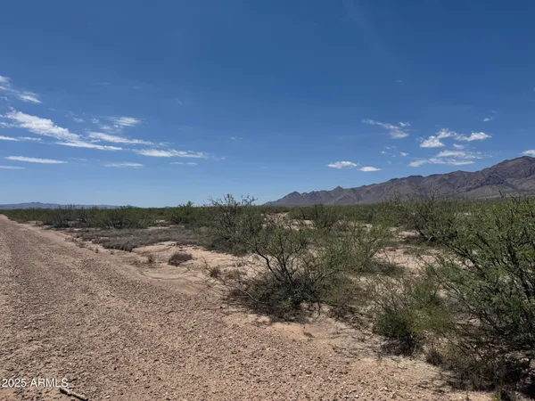 $68,900 | 39.6-acres West Paulo Rosa Drive, Unit 2, San Simon, AZ 85632