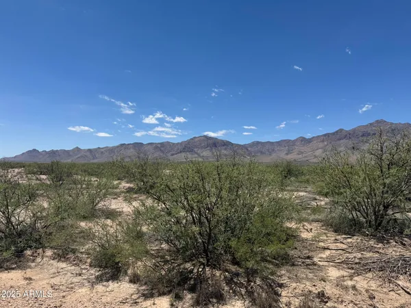 $68,900 | 39.6-acres West Paulo Rosa Drive, Unit 2, San Simon, AZ 85632