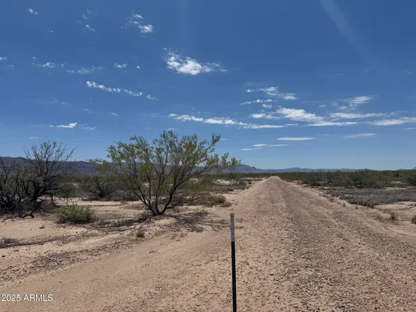 $68,900 | 39.6-acres West Paulo Rosa Drive, Unit 2, San Simon, AZ 85632
