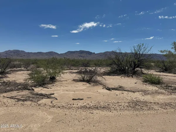 $68,900 | 39.6-acres West Paulo Rosa Drive, Unit 2, San Simon, AZ 85632
