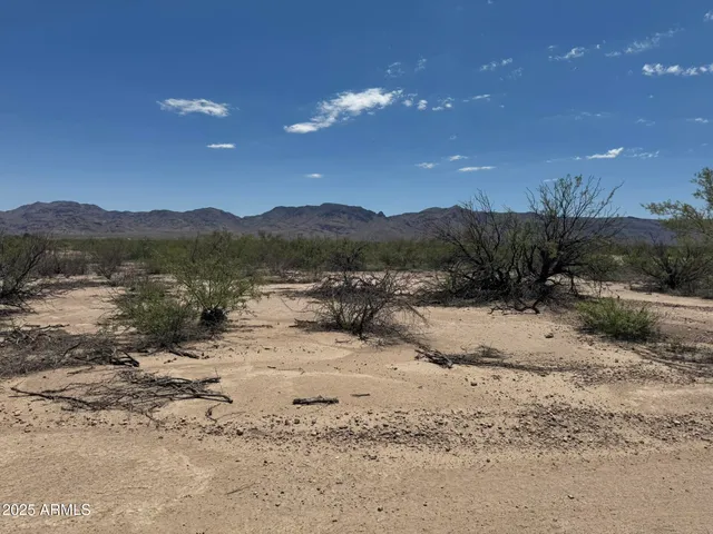 $79,000 | 39.6-acres West Paulo Rosa Drive, Unit 2, San Simon, AZ 85632