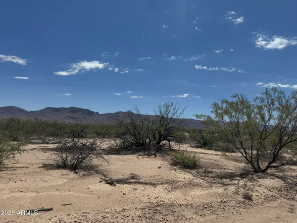 $68,900 | 39.6-acres West Paulo Rosa Drive, Unit 2, San Simon, AZ 85632