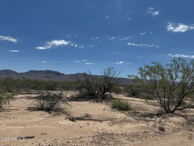 $79,000 | 39.6-acres West Paulo Rosa Drive, Unit 2, San Simon, AZ 85632