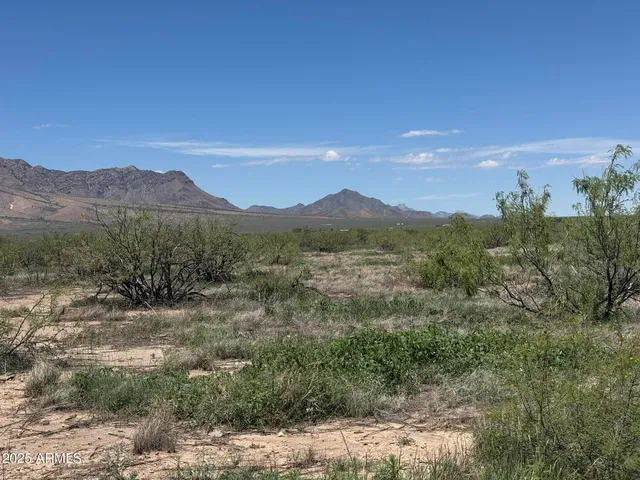 $79,000 | 39.6-acres West Paulo Rosa Drive, Unit 2, San Simon, AZ 85632