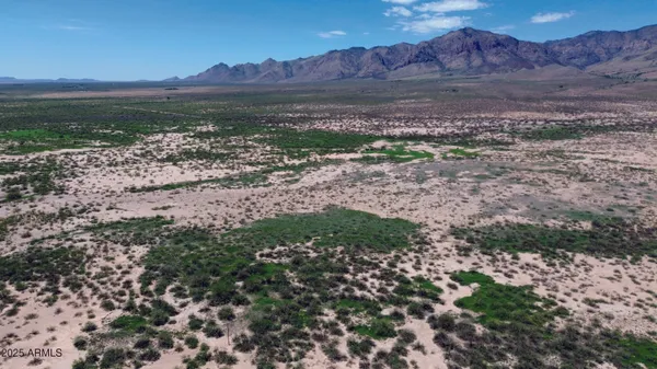 a view of a yard with a garden