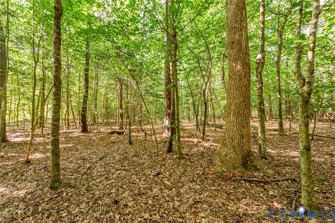 0 Barnetts Road Providence Forge, VA 23140 - Photo 22 of 37 Wooded parcel featuring mature deciduous trees and
