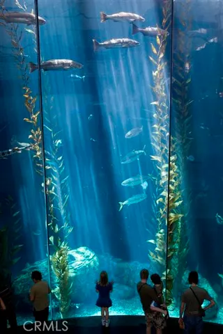 $539,699 | 800 East Ocean Boulevard, Unit 1010, Long Beach, CA 90802