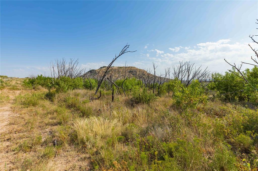 1034 Braune Road Merkel, TX 79536 - Photo 12 of 12 Gallery Image 12