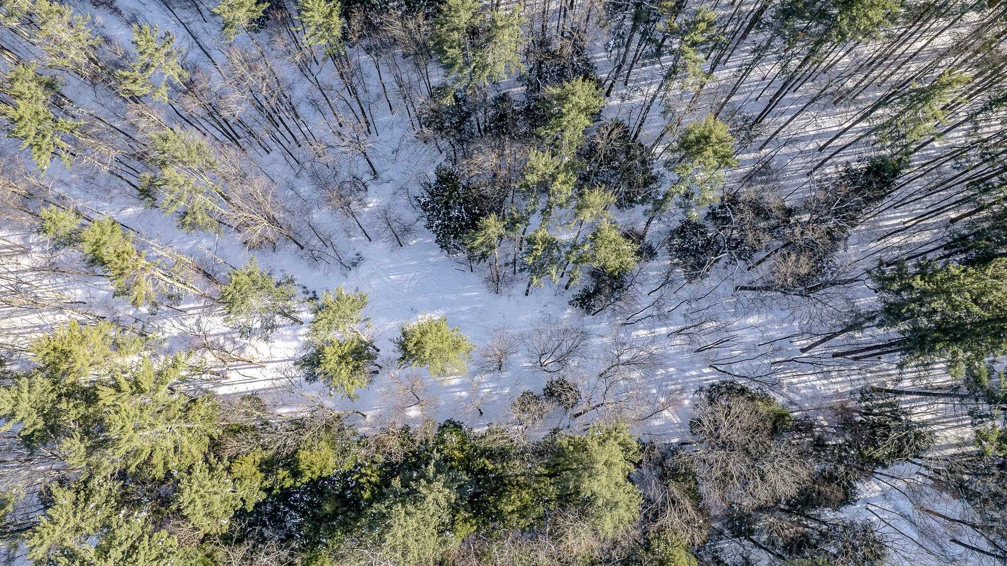 21 Main Street Alstead, NH 03602 - Photo 9 of 51