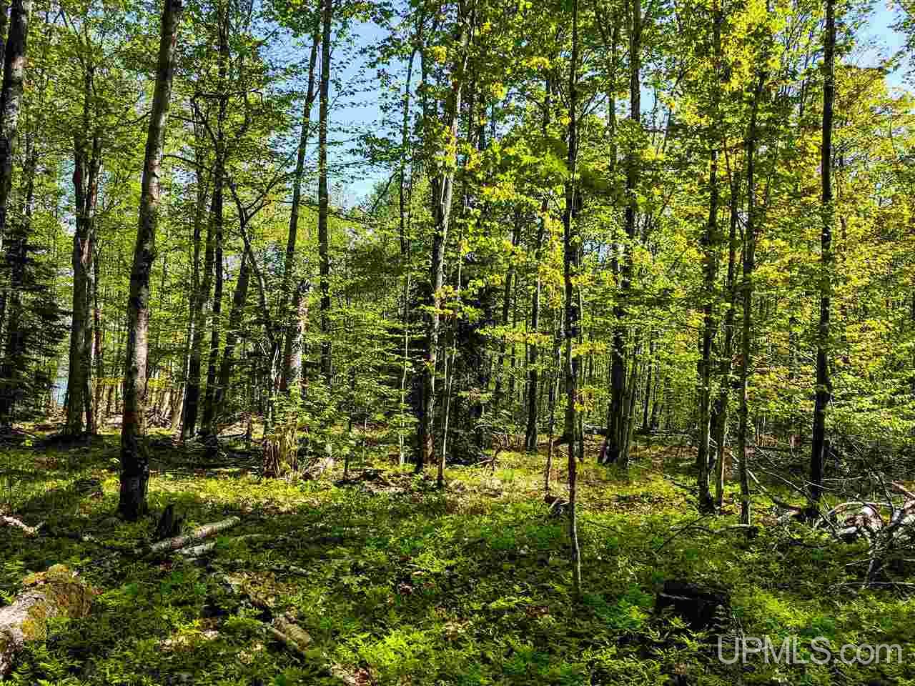 Tbd-parcel Point Abbaye Road Lanse, MI 49946 - Photo 18 of 26