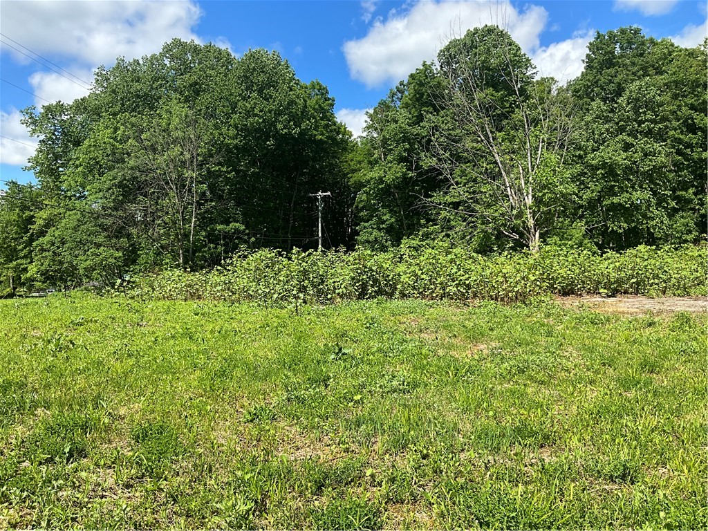 6471 Crofoot Road Sempronius, NY 13118 - Photo 4 of 23